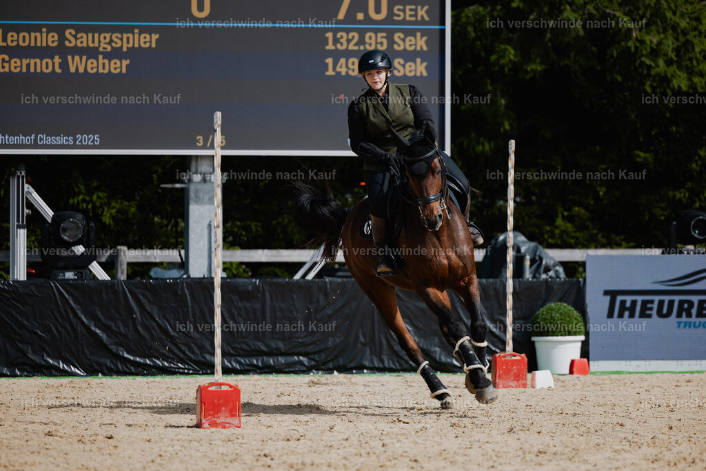 Leonie24_FHC2025-67 | working equitationturnier fotograf videograf stoibphotography marixx film working equitation deutschland reitsport turnierfotografie eventfotografie equestrian events