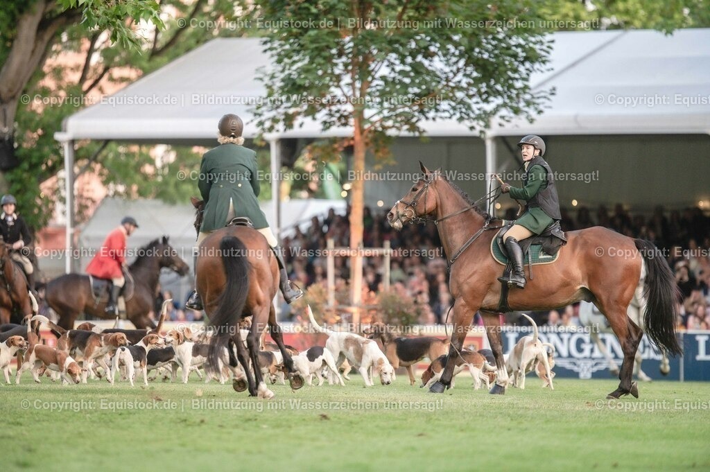 20230526_Pferdenacht_0546 | equistock