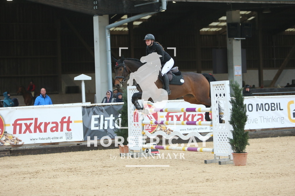 DL2Q7724 | Willkommen bei Brunnmayr - Design & Fotografie – Ihrem Spezialisten für Reitturniere und Pferdeveranstaltungen in Oberösterreich, Salzburg und Bayern! Seit über 17 Jahren sind wir leidenschaftlich dabei.