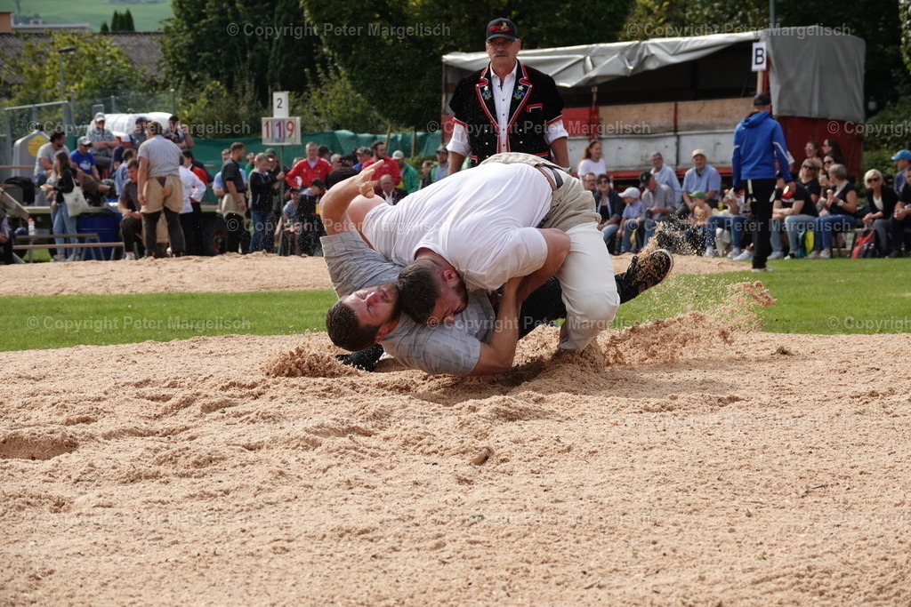 DSC08490 | Schwingen - Realisiert mit Pictrs.com