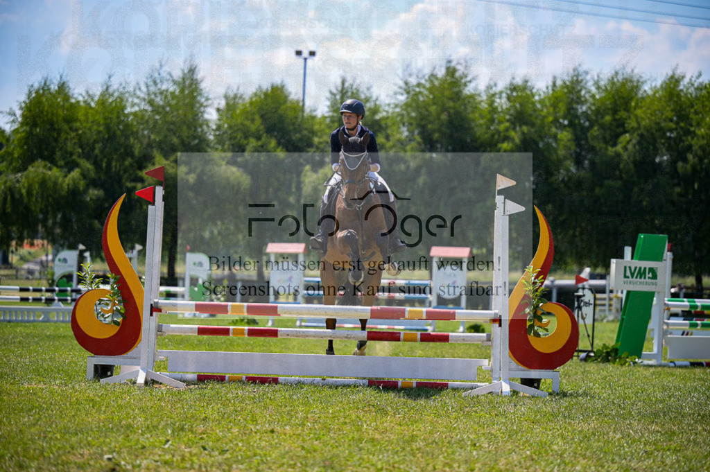 Reitturnier Voxtrup | Entdecke hochwertige Reitturnierfotos von Foto Oger. Professionell, emotional und authentisch – jetzt Lieblingsmomente im Shop bestellen.Deutschlandweite Turnierfotografie. - Realized with Pictrs.com