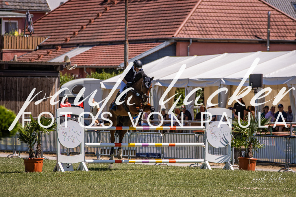 IMG_0520 | Erleben Sie dynamische Sport- und emotionale Tierfotografie in Süddeutschland mit Fotos von Paula. Spezialisiert auf Pferde- und Hundefotografie sowie Sportevents. Kontaktieren Sie mich für einzigartige und ausdrucksstarke Bilder Ihrer besonderen Momente. - Realisiert mit Pictrs.com