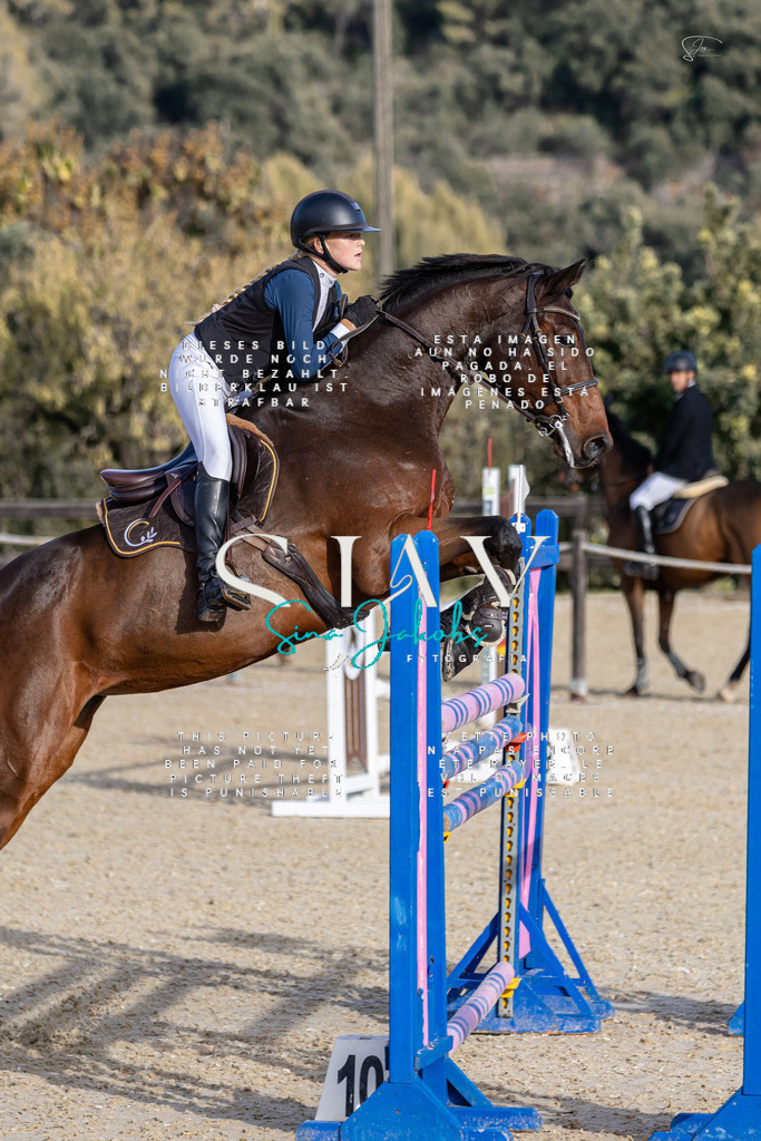 IMG_0332 | s-jay-photography - Realisiert mit Pictrs.com