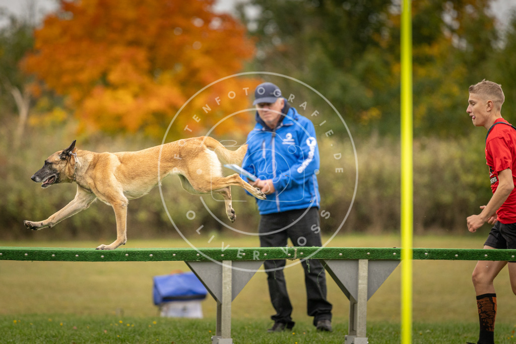 Pfotenfotografie_DV3A6747 | Hundefotografie, Tierfotograf, Pfotenfotografie, Fotoshooting Hund, Hunde Portrait, Hundesport, Hundeportraits, Heideshooting, Hunde, Sportfotograf, Hundefotograf, Turnierhundsport, THS,  - Realisiert mit Pictrs.com