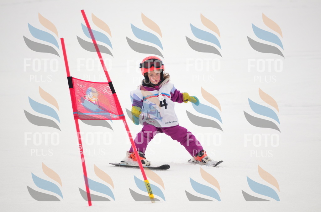 B9034 | holidayphoto