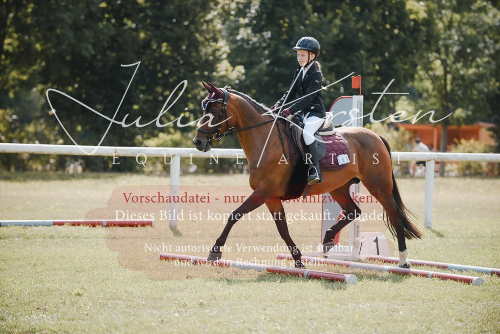 DSC_5411 | Pferde- und Turnierfotografie in Westsachsen. Pferdeportraits, Auftragszeichnungen und intuitive Kunst.