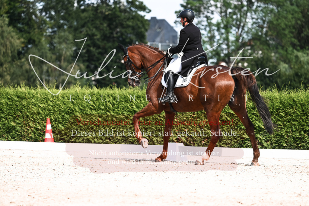 DSC_3265 | Pferde- und Turnierfotografie in Westsachsen. Pferdeportraits, Auftragszeichnungen und intuitive Kunst.