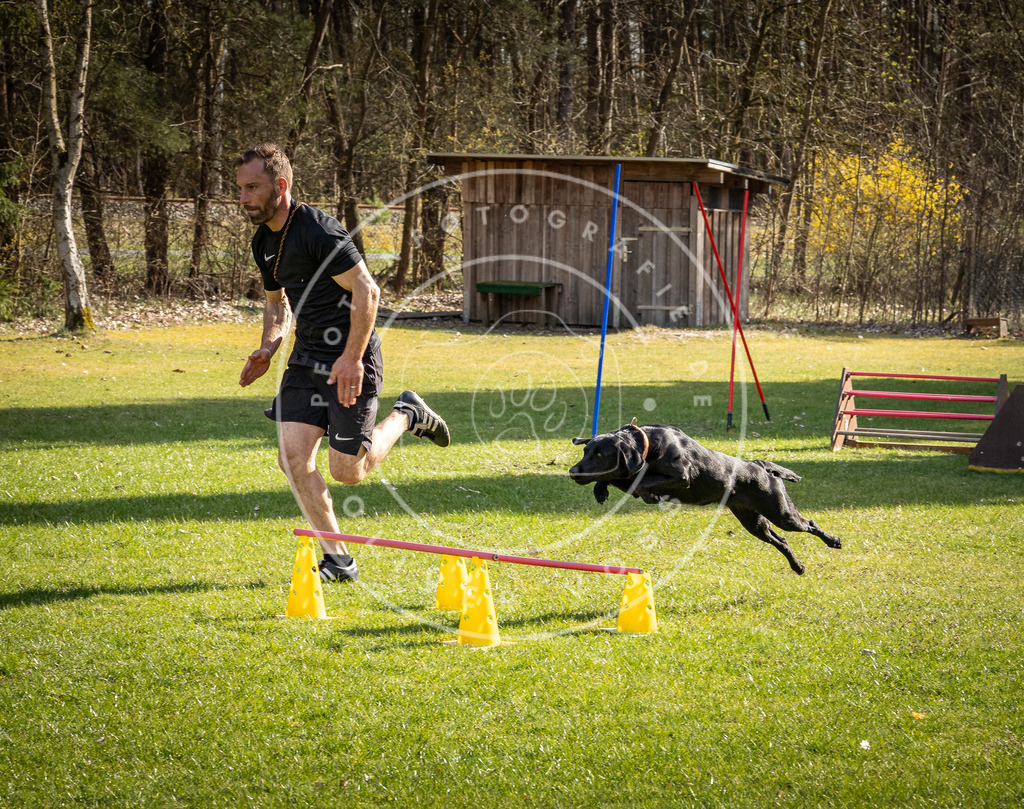 Pfotenfotografie_DV3A1733 | Hundefotografie, Tierfotograf, Pfotenfotografie, Fotoshooting Hund, Hunde Portrait, Hundesport, Hundeportraits, Heideshooting, Hunde, Sportfotograf, Hundefotograf, Turnierhundsport, THS,  - Realisiert mit Pictrs.com