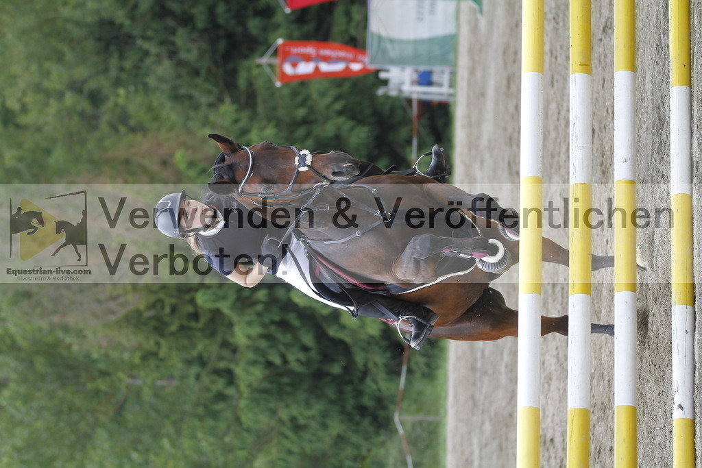 _MG_5277 | equestrian-live-com