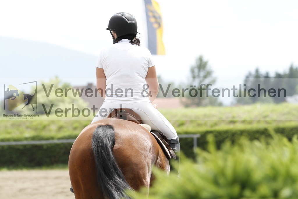_MG_1698 | equestrian-live-com