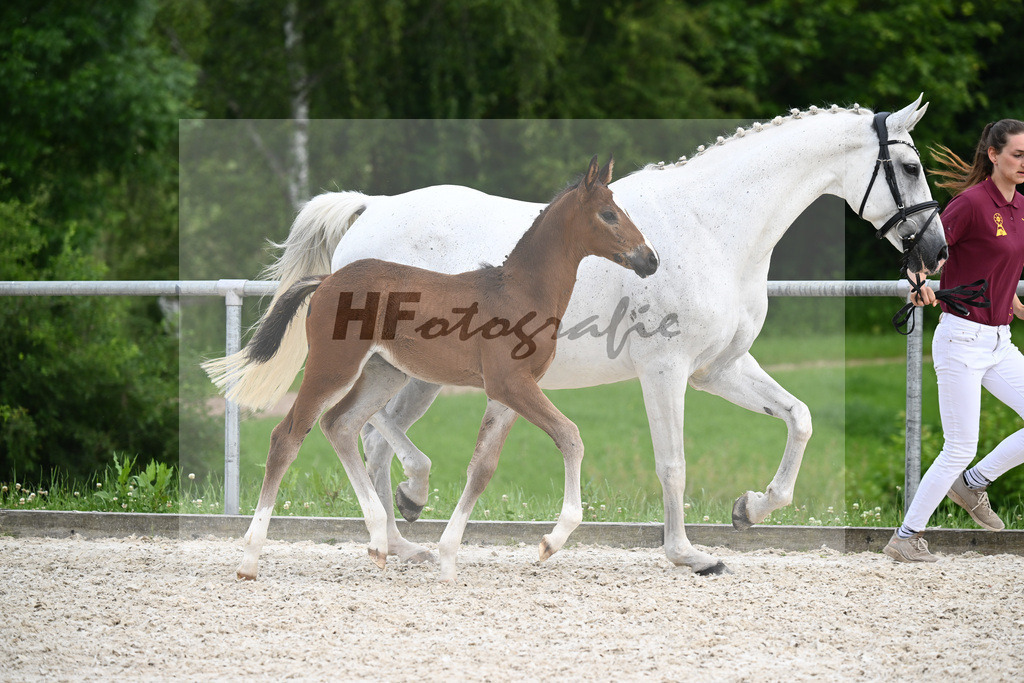 Diacord x Ciacomini_SF_Trukenbrod_20241149 | hf-fotografie - Realisiert mit Pictrs.com