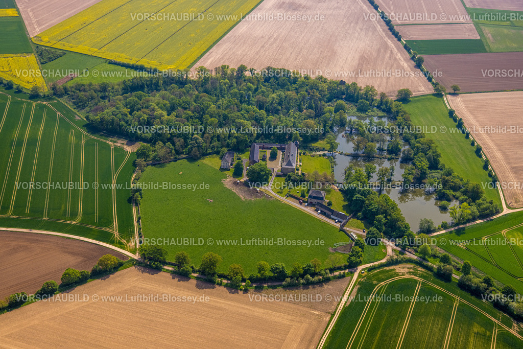 Swisttal240501624GutCapellen | Luftbild, Gut Capellen, alte Teichanlagen und Laubwald am Gut Capellen, ehemaliges Kloster Schillingskapellen, Wiesen und Felder, Swisttal, Rheinland, Nordrhein-Westfalen, Deutschland