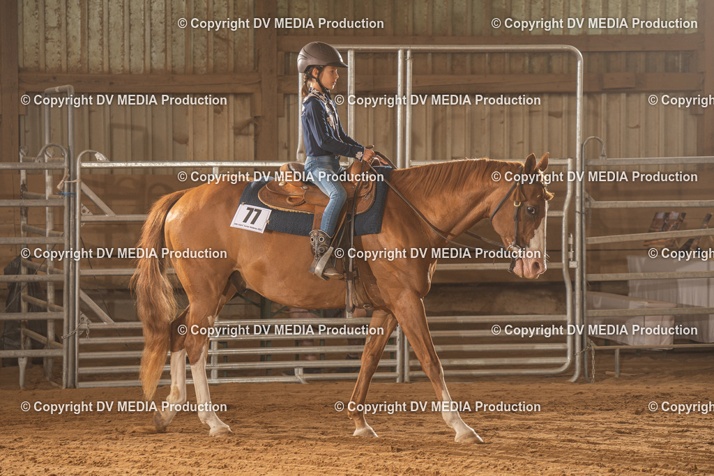 NID02824 | dv-media-shop - Realisiert mit Pictrs.com