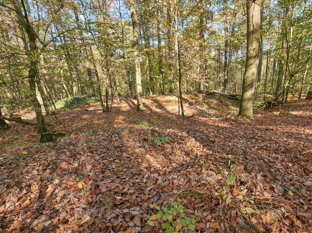 Die Hügelgräber im Lindigt bei Wermsdorf  01 | Bedeutsame Landschaften Deutschlands - Realisiert mit Pictrs.com