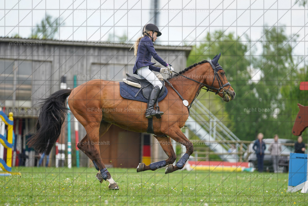 20240509-FAH02582 | Turnierbilder der Turnierfotografen Bayern, Pferdesport Fotografie, Reitsportbilder, Turnier Landberg am Lech, Turnierbilder bayern, Fotoagentur Herrmann