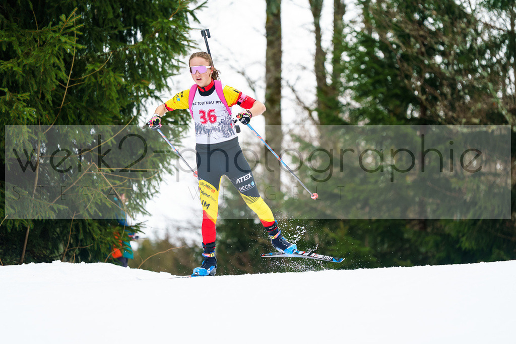 FESA Alpencup / DP Notschrei | Deutschland Pokal Finale im Schwarzwald NORDIC-CENTER Notschrei am 7. - 8. Februar 2026