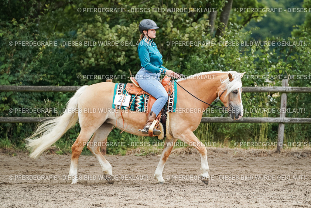 DSC04266 | Pferdegrafie