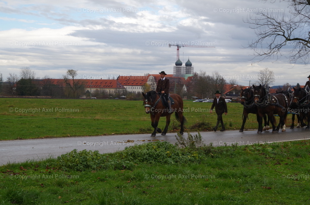 IMGP9754 | fotografiert von Axel PollmannLeonhardi Wallfahrt Benediktbeuern und Murnau, Fronleichnam, Fasching, Landschaft im Loisachtal und Benediktbeuern  - Realisiert mit Pictrs.com