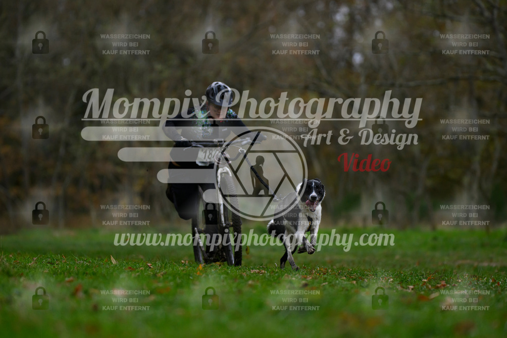 MompixPhotography_Bischwiller24_SA_DS1-34 | PayLife