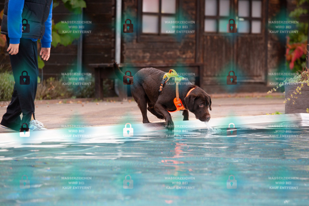 _HP_7560_1000o | HetPix, HetPix Fotodesign, Fotografie, Fotodesign, Webshop, Sportfotografie, Portraitfotografie, Onlineshop, Sportfotografie, Polch, Motorsportfotografie, Eventfotografie