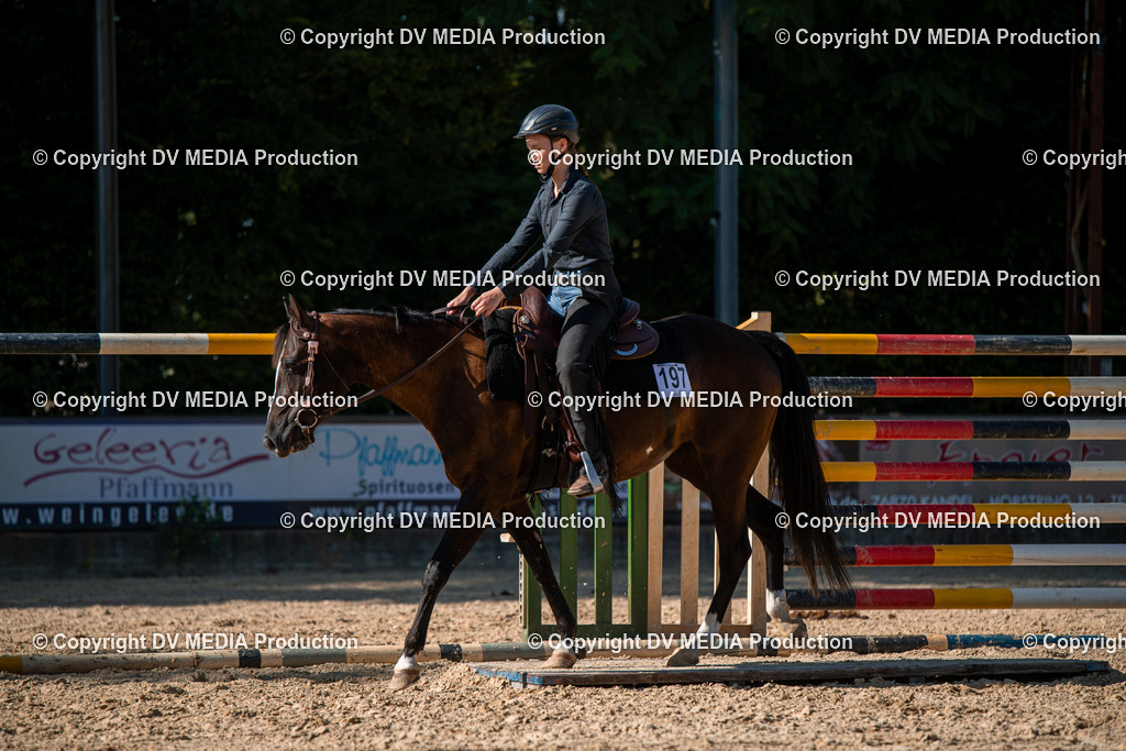 EWP_6979 | dv-media-shop - Realisiert mit Pictrs.com