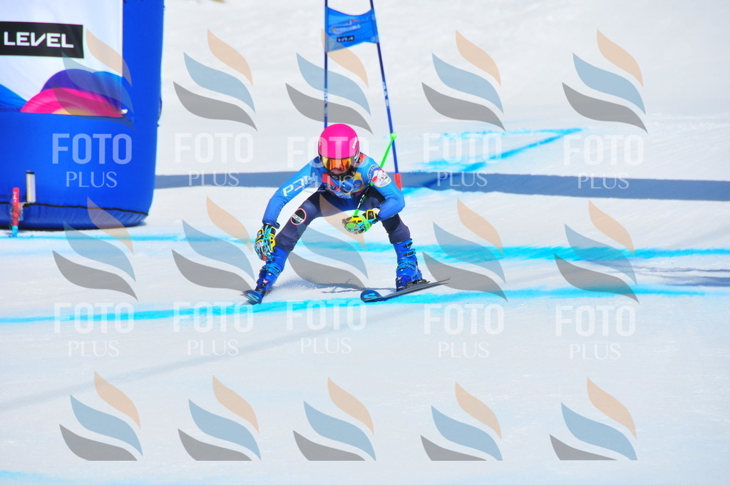 DSC_4892 | holidayphoto