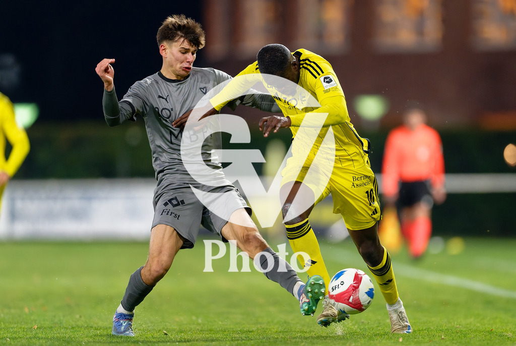 dieci Challenge League - FC Stade Nyonnais v FC Vaduz |  during the dieci Challenge League match between FC Stade Nyonnais and FC Vaduz at Centre sportif de Colovray in Nyon, Switzerland