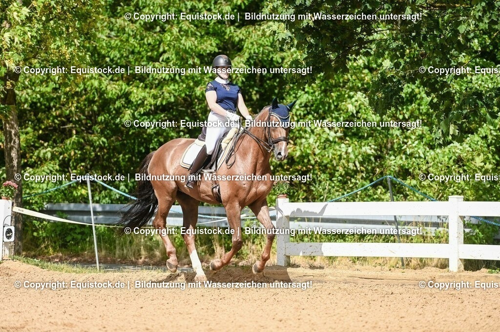 20230716_01_Dressurprüfung Kl.M_0372 | equistock