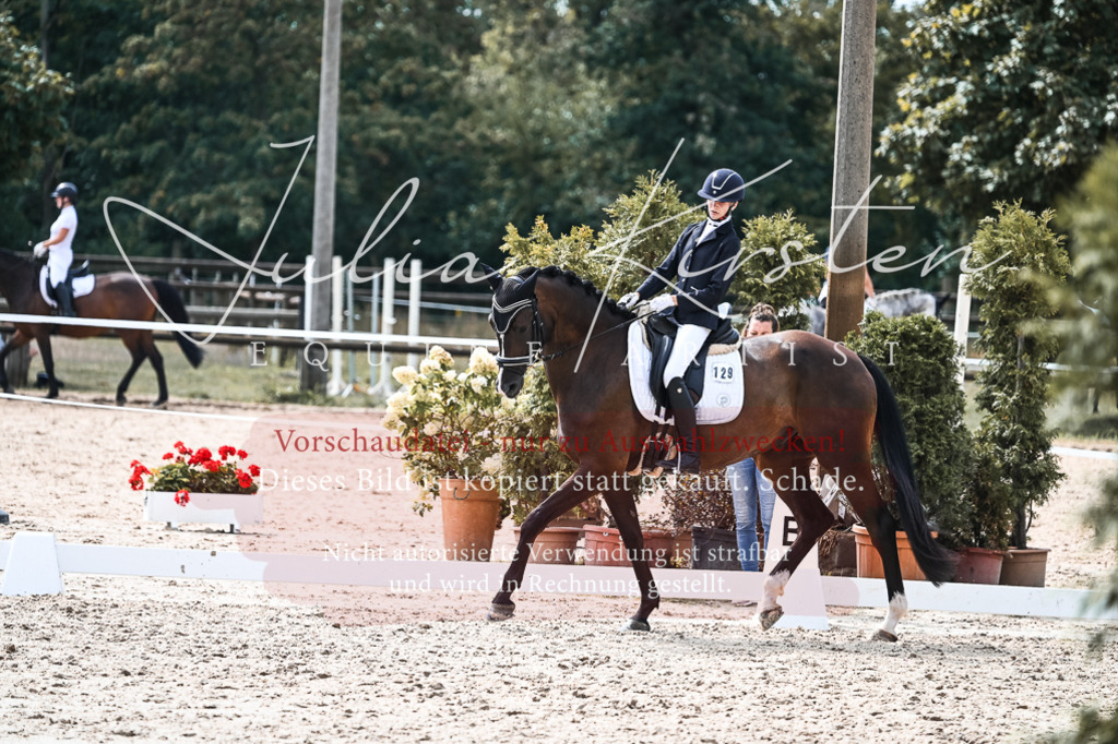 DSC_5195 | Pferde- und Turnierfotografie in Westsachsen. Pferdeportraits, Auftragszeichnungen und intuitive Kunst.