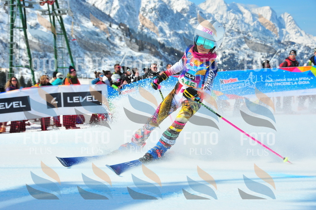 DSC_1235 | holidayphoto