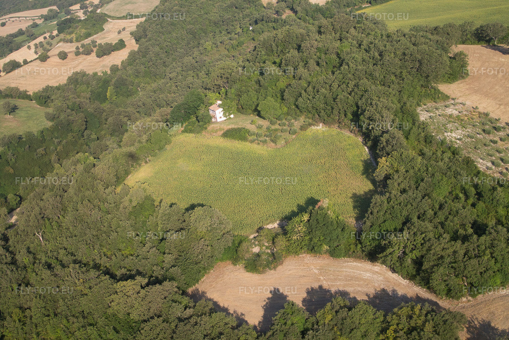 Vue aérienne: Vue de la ville à Fratte Rosa dans le département Pesaro und Urbino, Italie. Photo: IMG_43030.jpg prise le 15/07/2011 par Werner Riehm/FLY-FOTO.euRésolution de l'original: 4272 x 2848 px