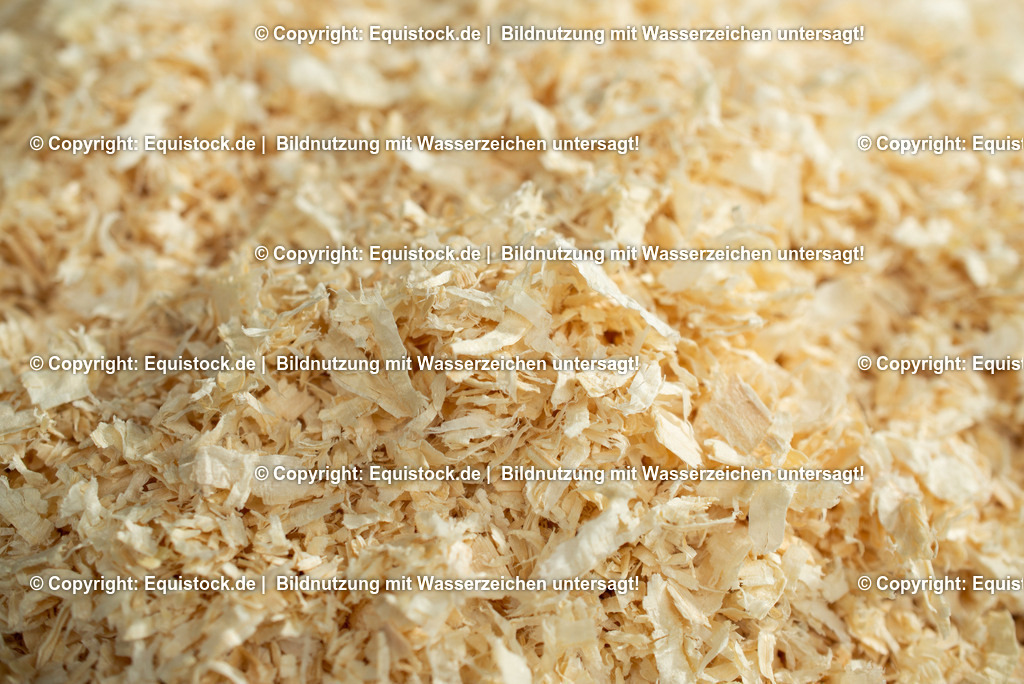 20190409_Classic_0003 | Foto: Thomas Hartig