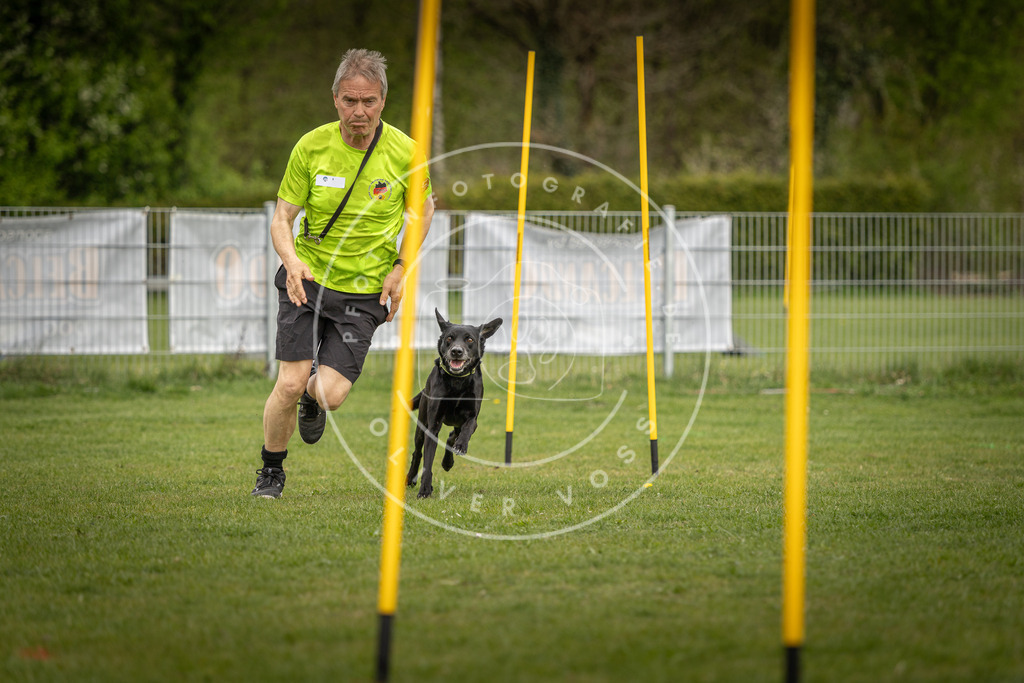 Pfotenfotografie_DV3A7672 | Hundefotografie, Tierfotograf, Pfotenfotografie, Fotoshooting Hund, Hunde Portrait, Hundesport, Hundeportraits, Heideshooting, Hunde, Sportfotograf, Hundefotograf, Turnierhundsport, THS,  - Realisiert mit Pictrs.com