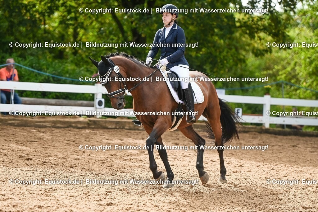20230716_04_Dressurreiterprüfung Kl.A_0266 | equistock