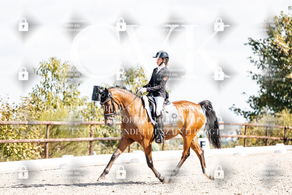 CK902697 | Turnierfotografie Pferdefotografie Trier Rheinland-Pfalz Pferdesport Reitsport Tierfotografie Sportfotografie Pferdevideo Pferdevideografie Equestrianvideography equestrianphotography  - Realisiert mit Pictrs.com