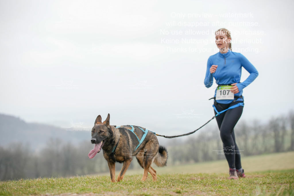 Canixlong-421 | stephaniefillaphotographie - Realisiert mit Pictrs.com