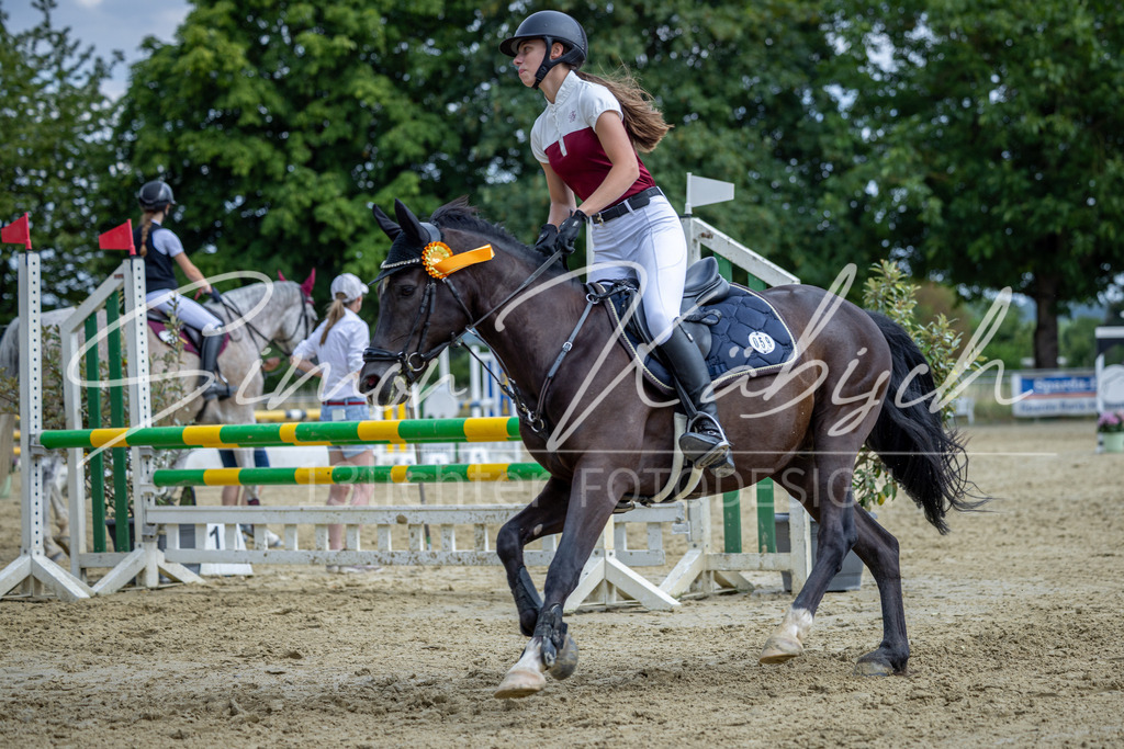 20260704-_3LI1113 | Tierfotografie Pferde, Hunde, Katzen, Haustiere.
Turnierfotografie Reitturniere, Reiten, Springreiten, Dressur in Hanau, dem Main-Kinzig-Kreis und dem Rhein-Main- Gebiet um Frankfurt