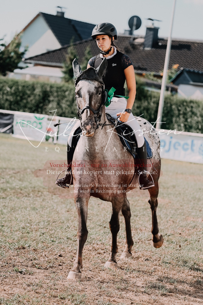 DSC_4959 | Pferde- und Turnierfotografie in Westsachsen. Pferdeportraits, Auftragszeichnungen und intuitive Kunst.