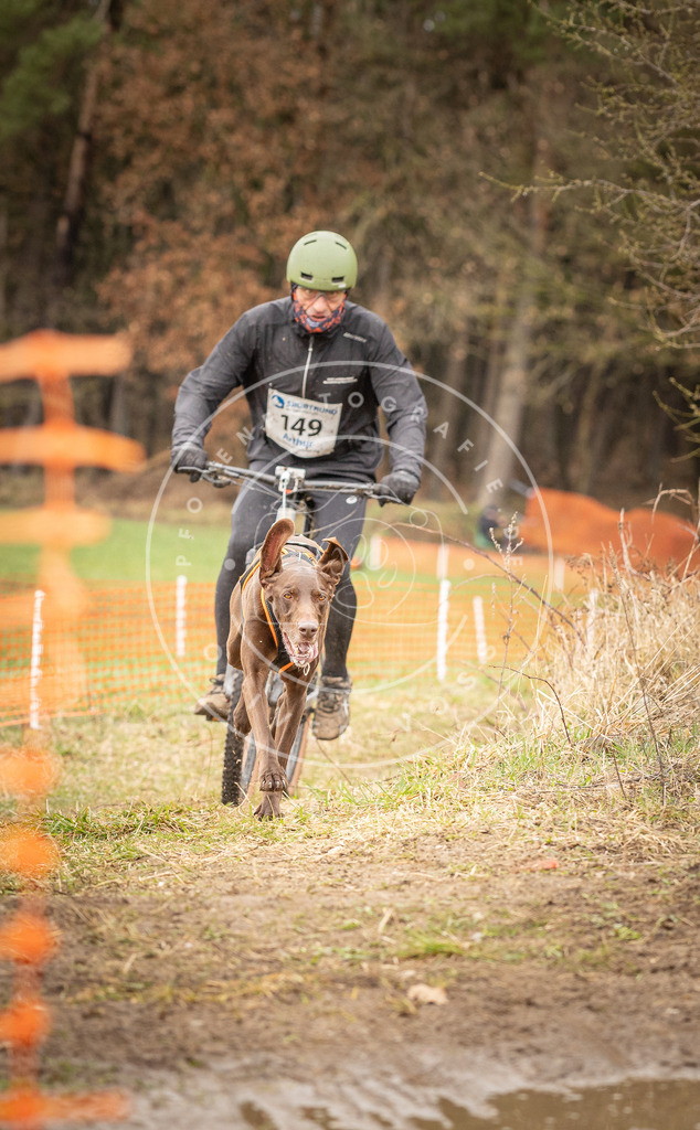 DV3A1185 | Hundefotografie, Tierfotograf, Pfotenfotografie, Fotoshooting Hund, Hunde Portrait, Hundesport, Hundeportraits, Heideshooting, Hunde, Sportfotograf, Hundefotograf, Turnierhundsport, THS,  - Realisiert mit Pictrs.com