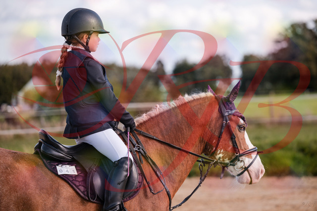 2026_10_03_Siefer-Hof_144334_Z81_17153792 | Professionelle Reitsport-, Turnier- und Eventfotografie von Robert Broda. Galerien mit ausgewählten und bearbeiteten Bildern direkt online ansehen und bestellen.