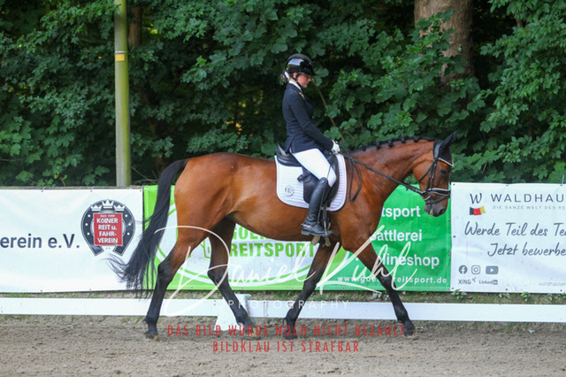 DKP43135 | Turniersportfotografie; Pferdefotografie; Dressurfotografie