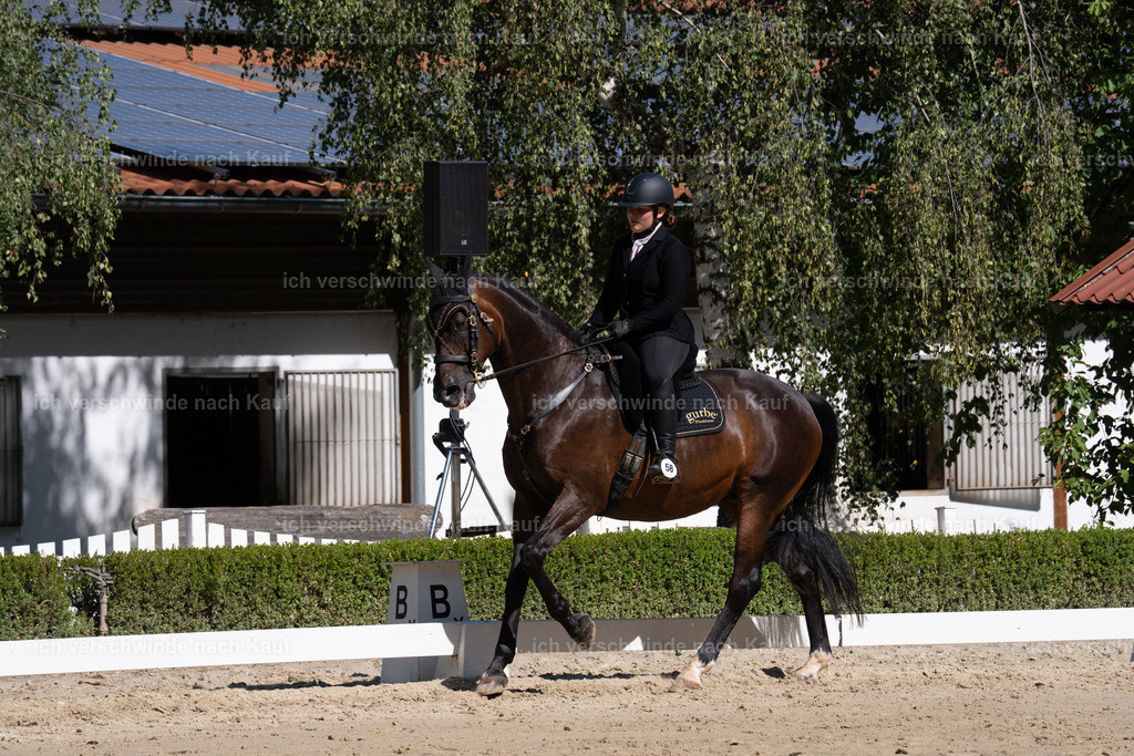 WL_DR_58_sinafilmart_IN07098 | working equitationturnier fotograf videograf stoibphotography marixx film working equitation deutschland reitsport turnierfotografie eventfotografie equestrian events