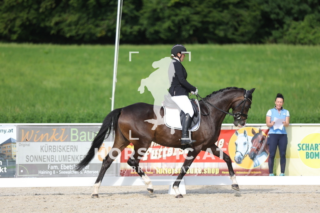 0P6A4724 | Willkommen bei Brunnmayr - Design & Fotografie – Ihrem Spezialisten für Reitturniere und Pferdeveranstaltungen in Oberösterreich, Salzburg und Bayern! Seit über 17 Jahren sind wir leidenschaftlich dabei.