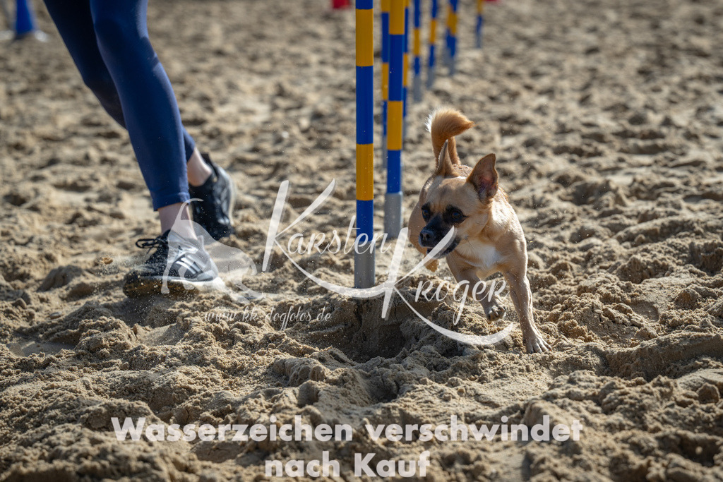 1103_ZZ90143 | kk-dogfotos