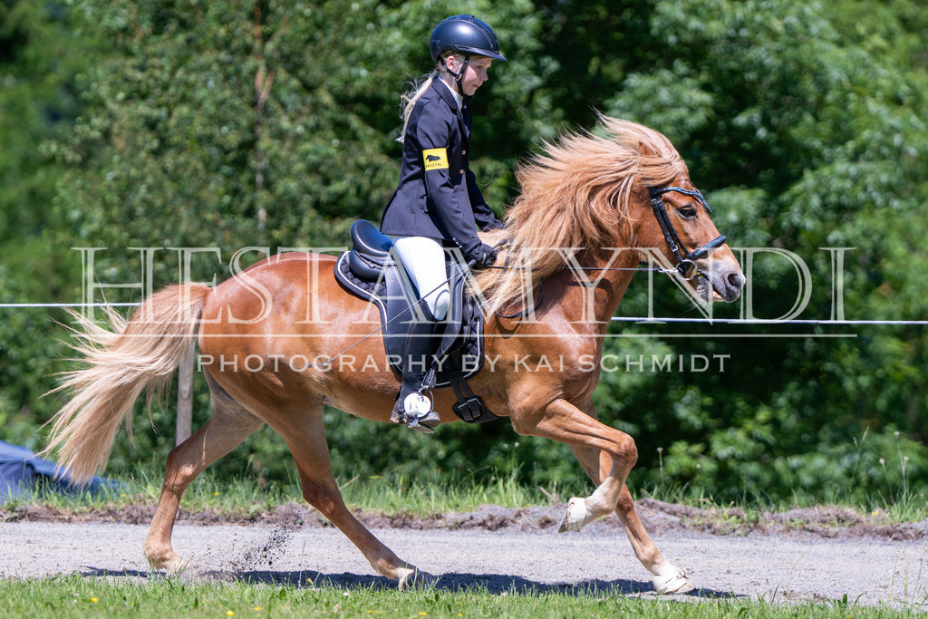 KAI08864 | Ihr sucht einen Fotografen für eure nächste OSI? Ich begleite auch euer Turnier für Islandpferde fotografisch.  - Realisiert mit Pictrs.com