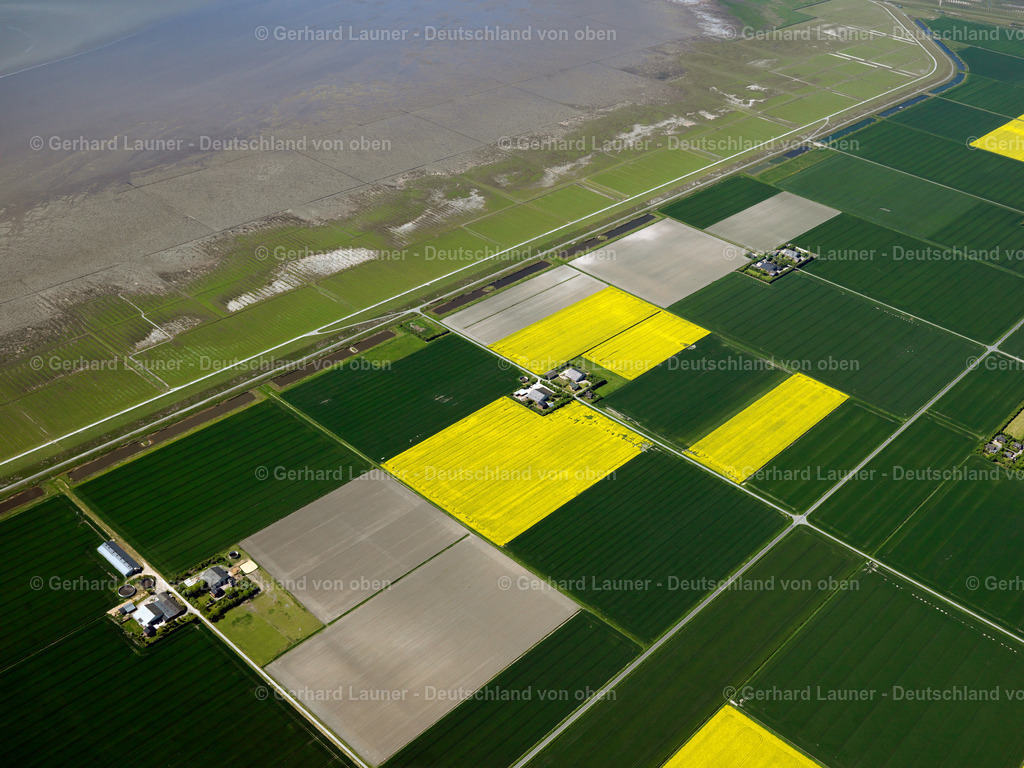 3091292 | Küste bei Niebüll