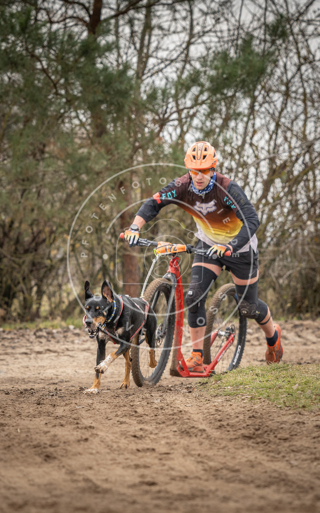 Pfotenfotografie_DV3A9992 | Hundefotografie, Tierfotograf, Pfotenfotografie, Fotoshooting Hund, Hunde Portrait, Hundesport, Hundeportraits, Heideshooting, Hunde, Sportfotograf, Hundefotograf, Turnierhundsport, THS,  - Realisiert mit Pictrs.com