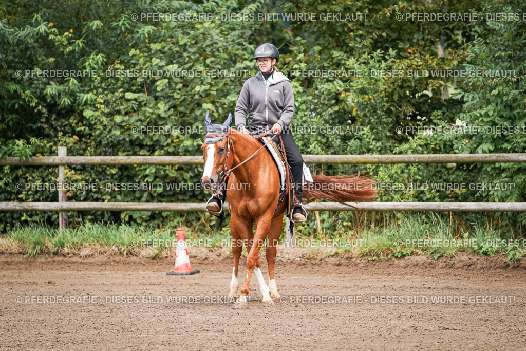 DSC05615 | Pferdegrafie