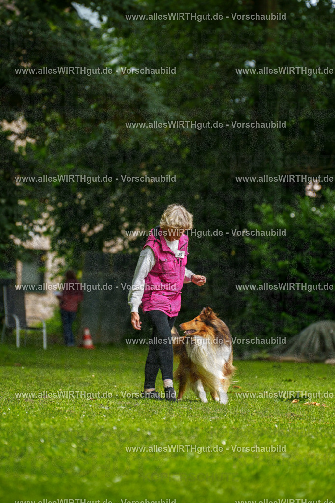@allesWIRTHgut_Tierfotografie - www.allesWIRTHgut.de - 094928-7R507654 | Professionelle Tierfotografie in Mönchengladbach von Daniel Wirth (allesWIRTHgut). Liebevolle & natürliche Bilder von Hunden & Katzen für unvergessliche Erinnerungen.