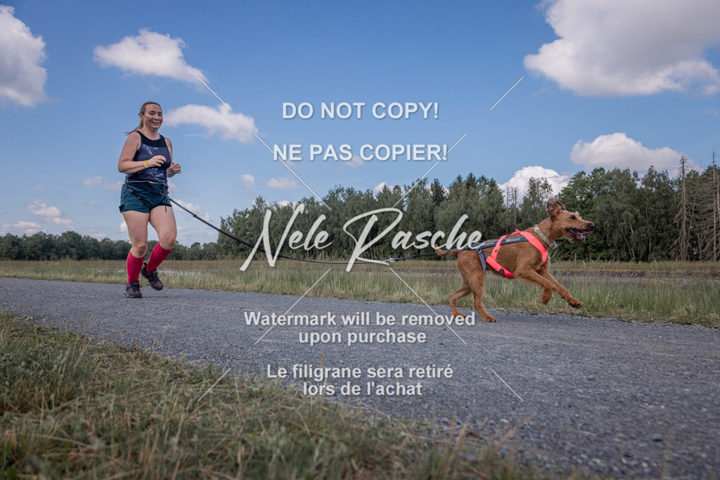 nelerasche_BuHu2026_SaCC10-11_109 | nelerasche